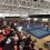 ::Artes Marciales – La Summer Cup de Brazilian Jiu-Jitsu se disputó el pasado sábado en La Nucía